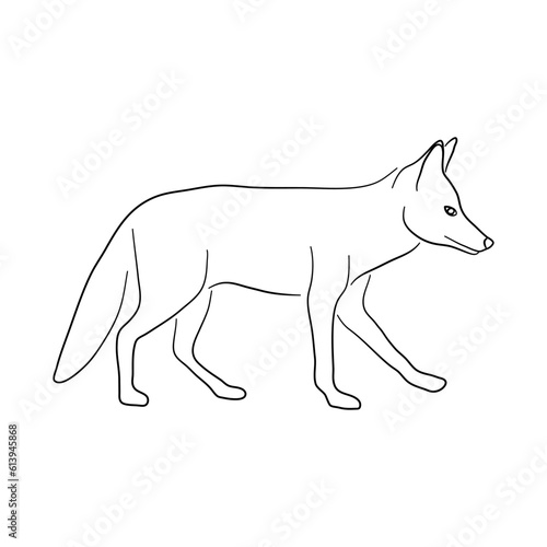 Hand-drawn Jackal. Sketch vector illustration.