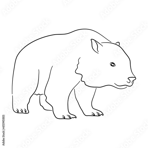 Hand-drawn Wombat. Sketch vector illustration.