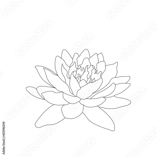Fototapeta Naklejka Na Ścianę i Meble -  lotus flower isolated on white