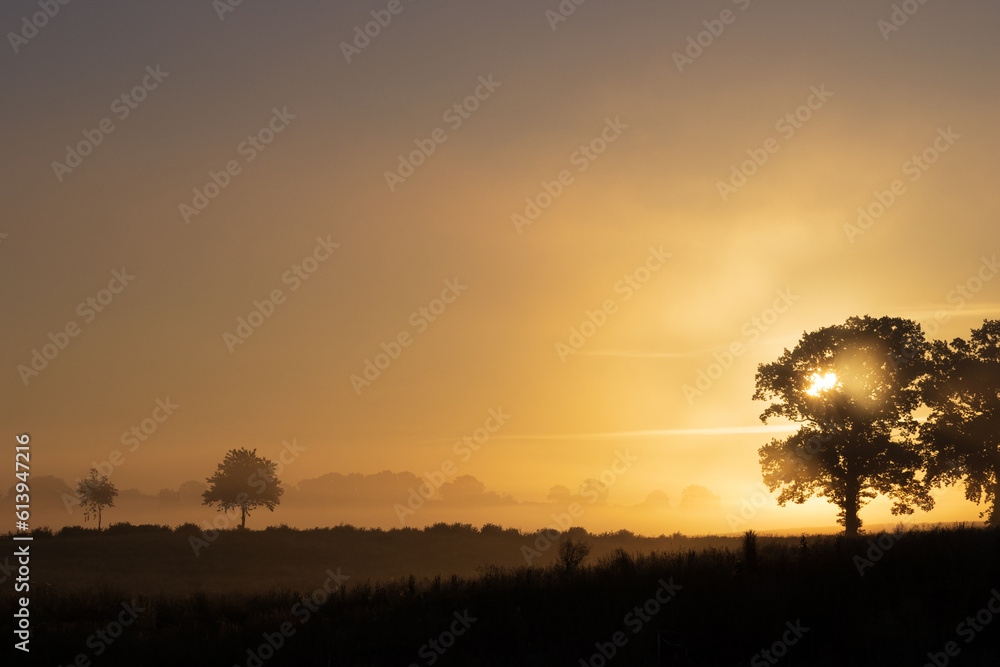 Magischers Licht am Feld im Nebel am Morgen.