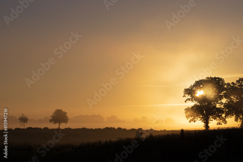 Magischers Licht am Feld im Nebel am Morgen. photo