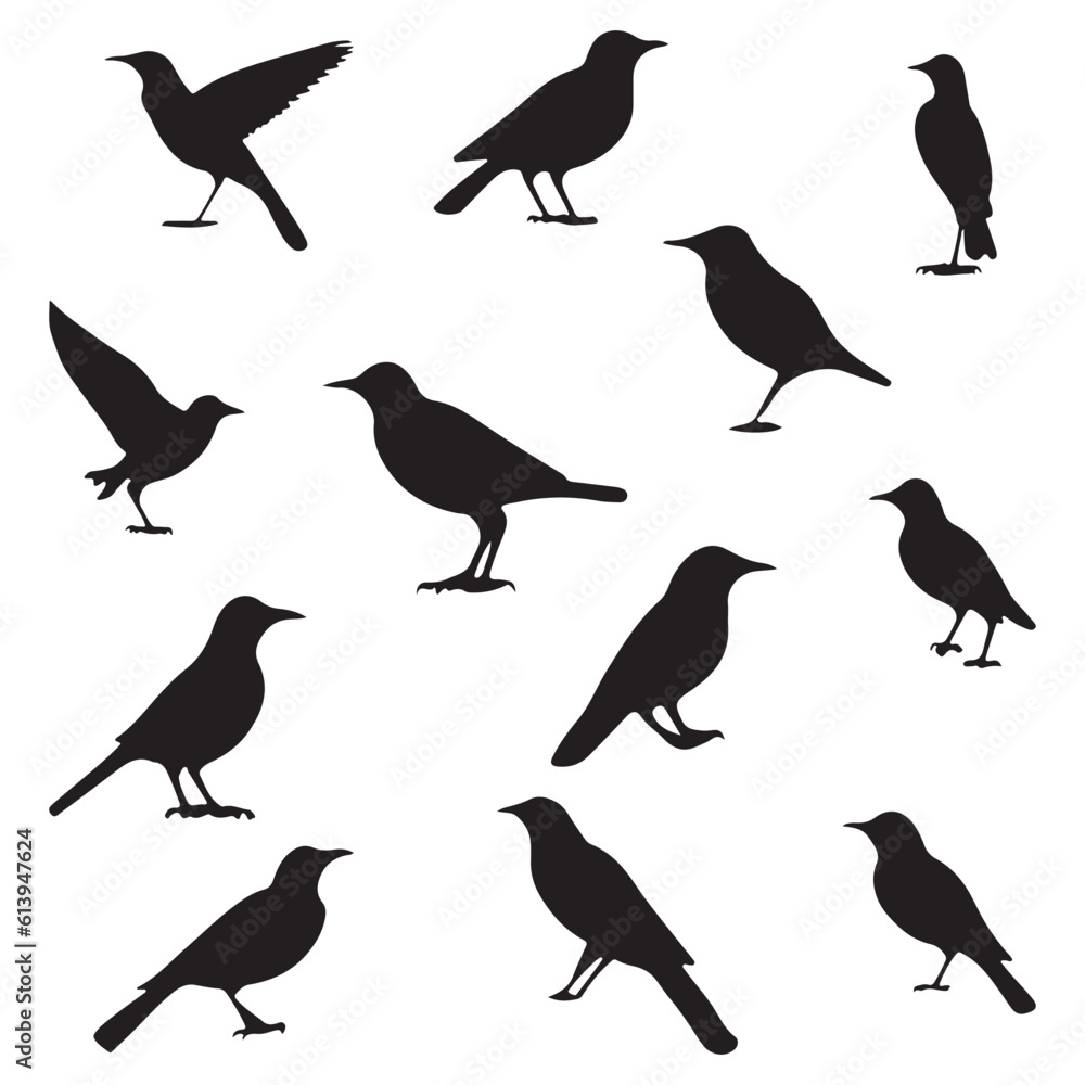 Obraz premium Birds panel silhouette vector illustration.