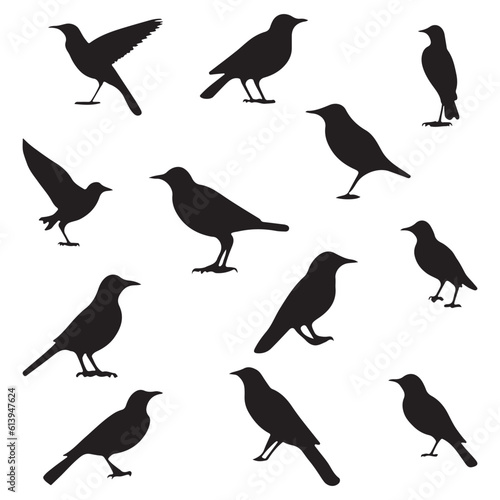 Birds panel silhouette vector illustration.
