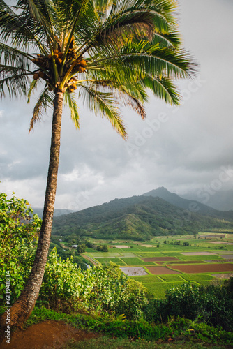 Panoramic View Looking out over Hanalei Valley on the island of Kauai, Hawaii