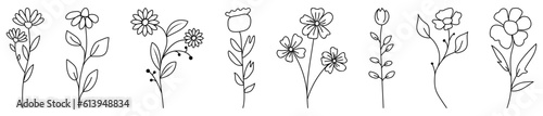Set of hand drawn wild flower icons. Collection of hand drawn line botanical elements. Vector illustration