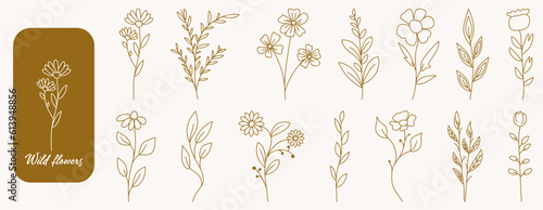 Set of outline wild flowers and leaves. Vector illustration isolated on white background