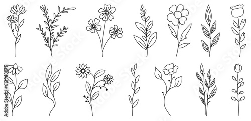 Set of wild flowers and leaves. Hand drawn line branches and blooming. Can use for wedding invitations, greeting cards, posters and others.