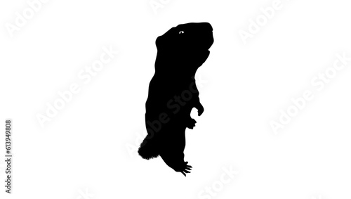 marmot silhouette