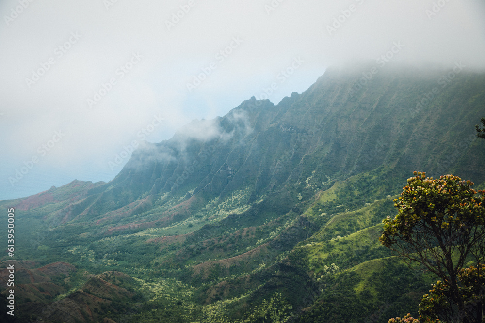 Obraz premium Foggy mist over the ocean and Kokee State Park on the island of Kauai, Hawaii