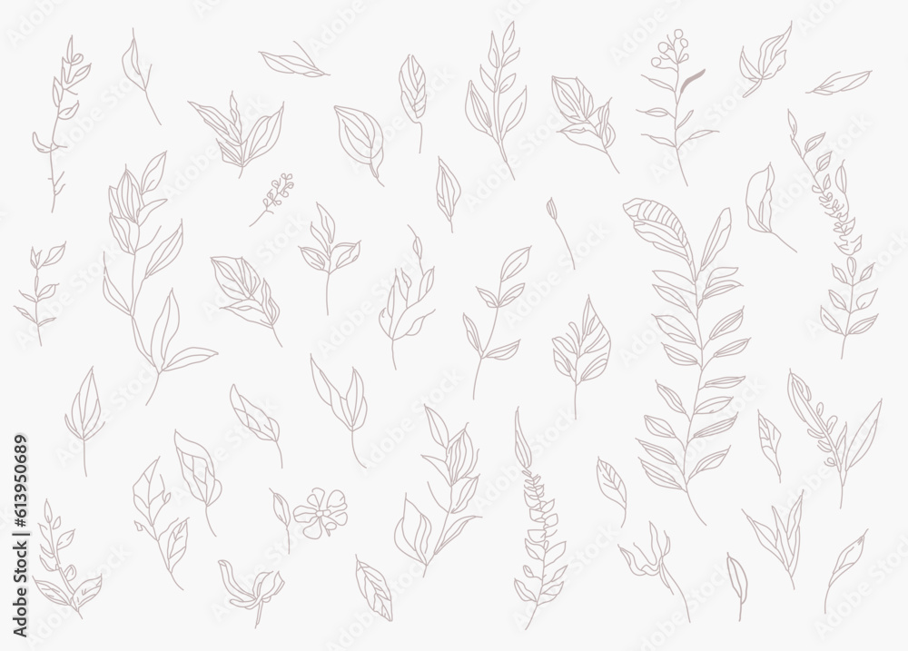 clarge collection of assorted plants and isolated hand-drawn flowers. Vector art. clarge collection of assorted plants and isolated hand-drawn flowers. Vector art.