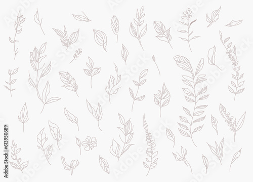 clarge collection of assorted plants and isolated hand-drawn flowers. Vector art. © Raphael