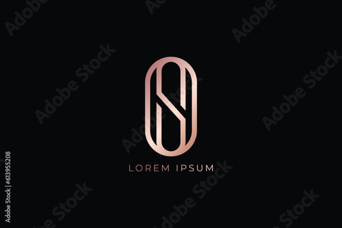 so letter rose gold brand design modern style creative wordmark design typography illustration, s logo design, so logo 