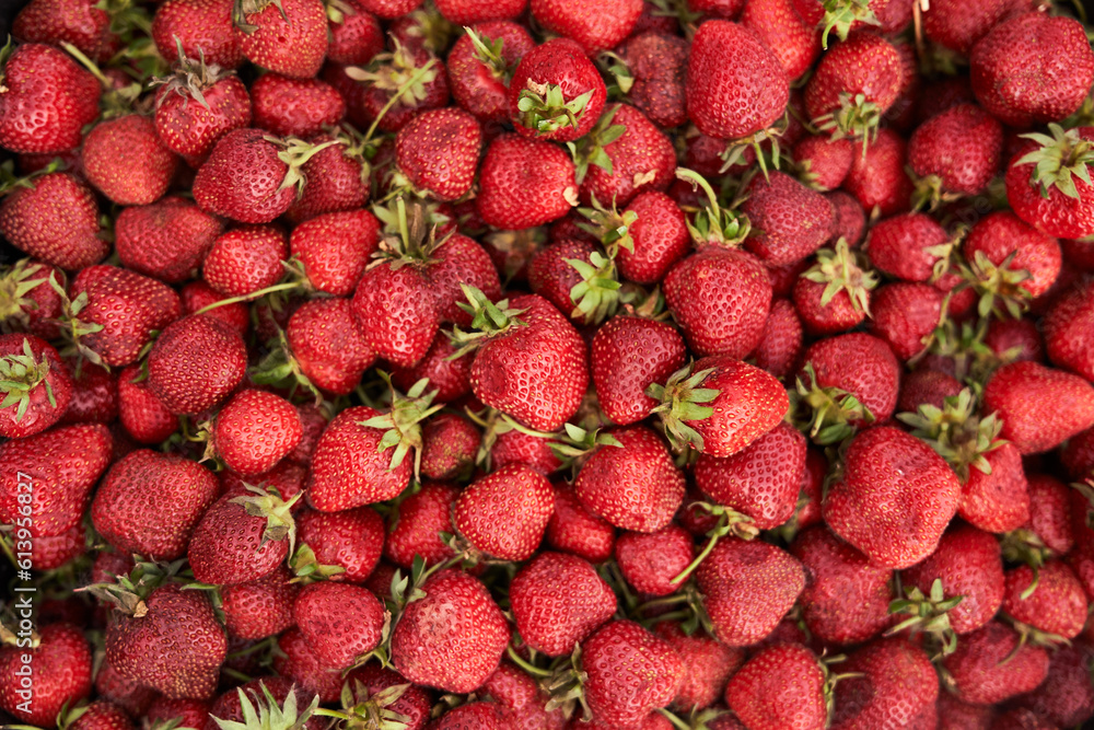 Fresh strawberries in a box. Strawberry group. The background of nutrition. Strawberry background with space to copy. High quality photo Fresh strawberries in a box. Strawberry group. The background of nutrition. Strawberry background with space to copy. High quality photo