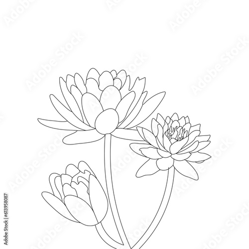 Hand Drawn of Water lily Nymphaea isolated on White Background Coloring Page 