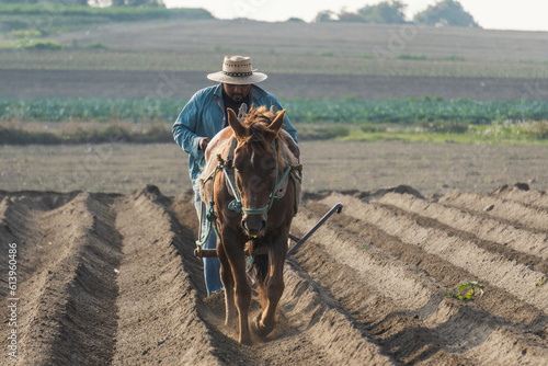 фотографія Agricultural traditions in Mexico: Peasant farmer plowing the land with a horse