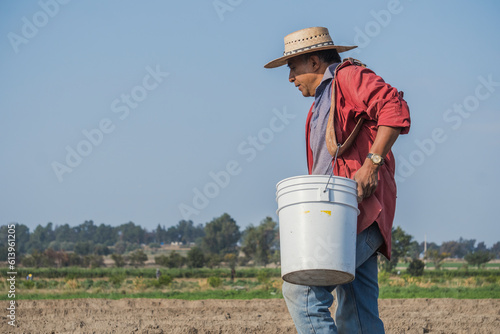 Peasant fertilizing the land with farm manure in a rural scene 