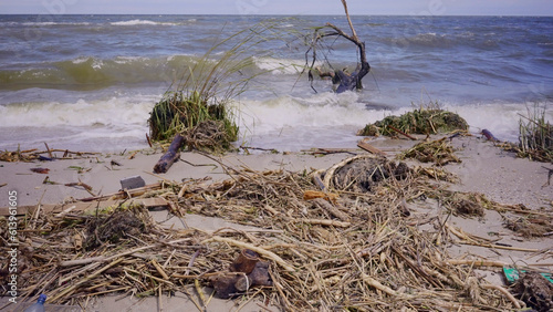 Trees with floating debris has reached Black Sea coastal zone in Odessa, Ukraine. Environmental disaster caused by the explosion of Kakhovka Hydroelectric Power Plant dam photo