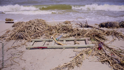 Floating debris has reached Black Sea beaches in Odessa, Ukraine. Environmental disaster caused by the explosion of Kakhovka Hydroelectric Power Plant dam, wide-angle photo