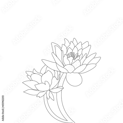 Fototapeta Naklejka Na Ścianę i Meble -  Lotus Flower Coloring Page Hand Drawn Line Art Vector Illustration