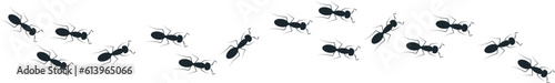 A line of worker ants marching in search of food. Vector banner  © Muhammad
