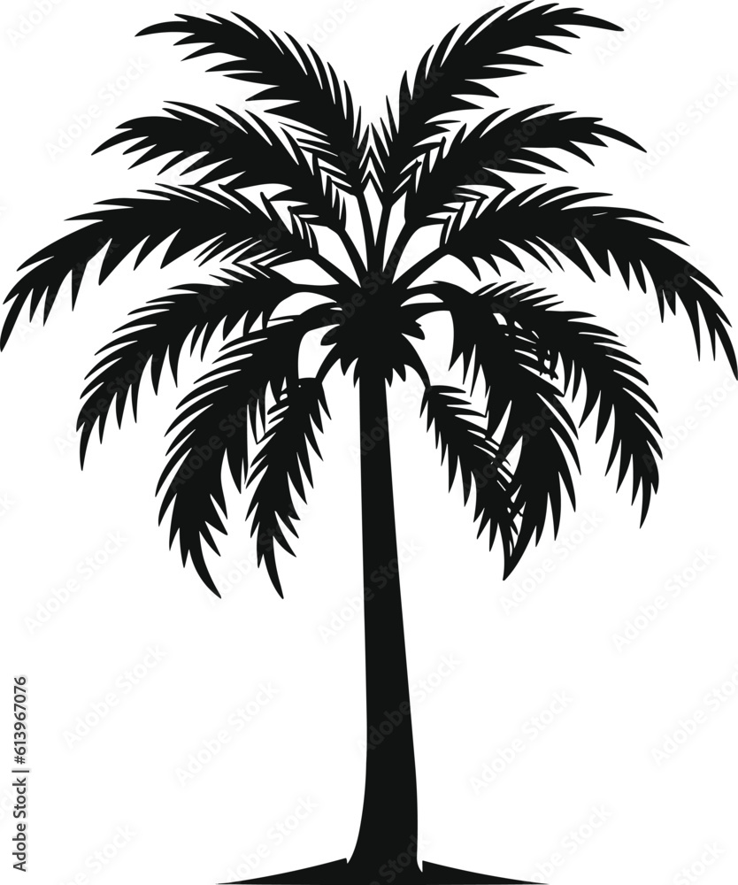 palm tree isolated image illustration palm tree isolated image illustration