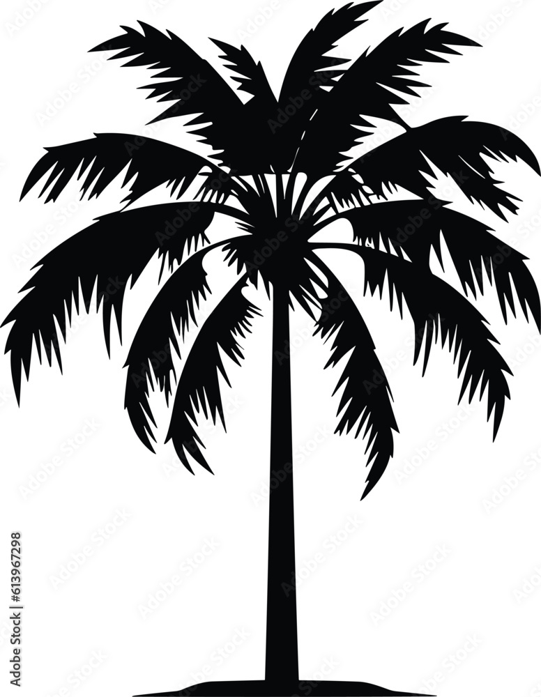 palm tree isolated image illustration palm tree isolated image illustration