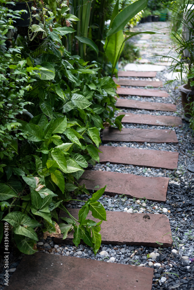 Stone path in the backyard garden with trees along the sides Stone path in the backyard garden with trees along the sides