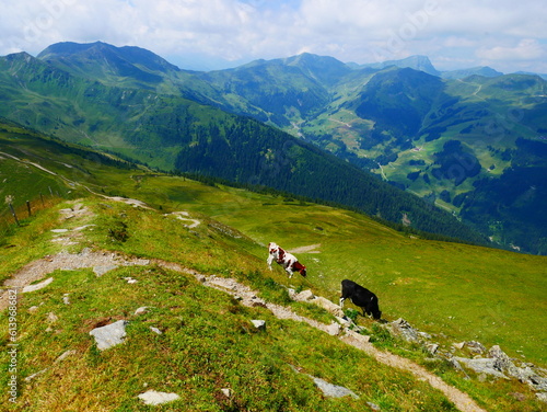 View on mountains near Saalbach Hinterglemm ski resort on a summer day