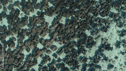 Australian Coastal beaches Shark Bay. Aerial view from drone 4K