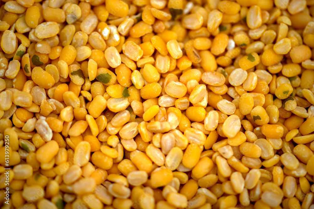The pile of Gram pulses, Split Chickpeas, and Lentil Pulses. The pile of Gram pulses, Split Chickpeas, and Lentil Pulses.