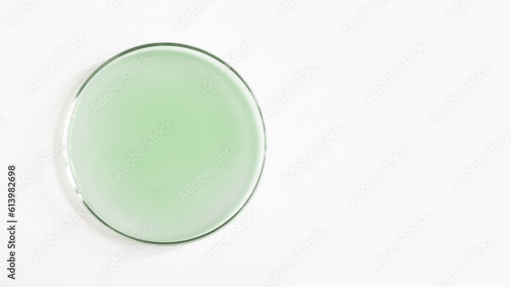 Green gel in a Petri dish. Natural cosmetic. green laboratory Green gel in a Petri dish. Natural cosmetic. green laboratory