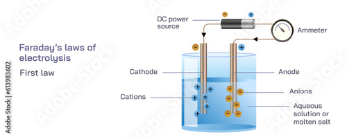 Faraday's First Law and second law of Electrolysis vector illustration. chemical reaction at electrode under electrical energy proportional to electricity passed through electrolyte. general physics  photo