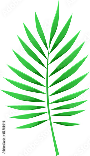 Tropical leaf png. Decoration foliage in cartoon style. Illustration isolated on transparent background.