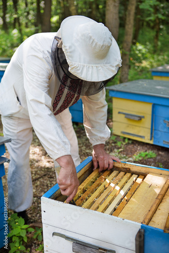 Beekeeper is working with bees and beehives on the apiary. Beekeeping. Apiculture.