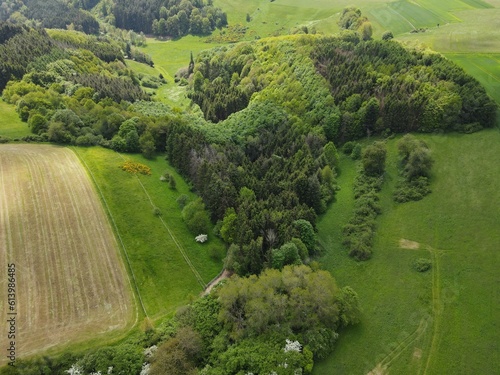 Aerial view of forest trees in a green grassy landscape © Mentor