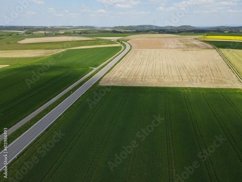 Drone view of green growing crop fields, plowed arable fields with soil and a asphalt road in spring 
