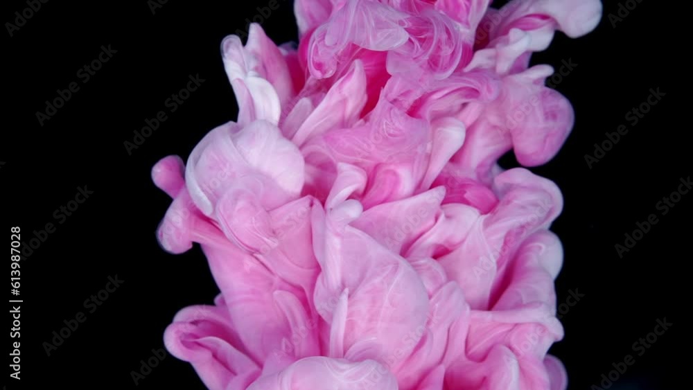 Dreamy Ink Fusion: Slow Motion of Pink Paint Drops Creating Beautiful Soft Colors Dreamy Ink Fusion: Slow Motion of Pink Paint Drops Creating Beautiful Soft Colors
