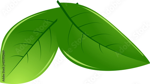 Green leaves in cartoon style. Green leave. Leaf falling. Vegan, eco, organic design element, leaf icon, logo. on transparent, png