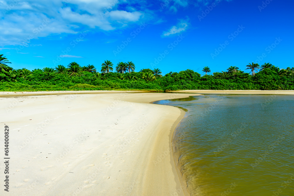 River coming out of the middle of the native vegetation and going towards the sea over the sand at Sargi beach in Serra Grande, Bahia