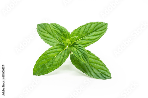 Fresh Organic Mint leaves isolated on white background, healthy green vegetable
