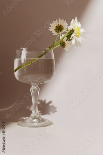 White Cocktail Glass Vase with Flowers and Shadows