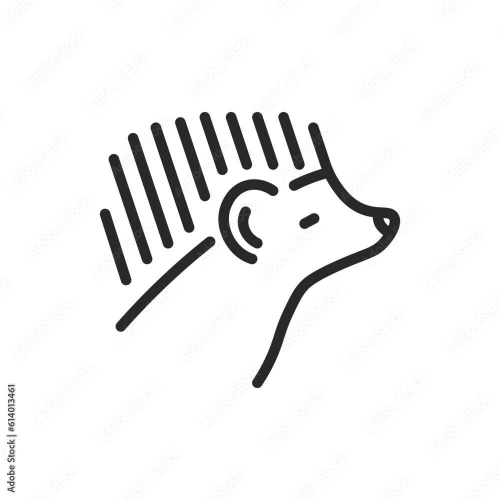 Hedgehog Icon. Vector Outline Editable Sign of for Pet, Wildlife, Forest Animal, and Exotic Domestic Mammal Vet Clinic Services. Hedgehog Icon. Vector Outline Editable Sign of for Pet, Wildlife, Forest Animal, and Exotic Domestic Mammal Vet Clinic Services.