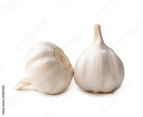 Two fresh white garlic bulbs isolated on white background with clipping path, Thai herb is great for healing several severe diseases, heart attack, Hyperlipidemia or Dyslipidemia, close up photo