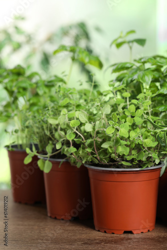 Different aromatic potted herbs on wooden table, closeup © New Africa