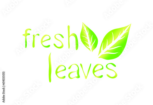 green fresh leaf icon with white background