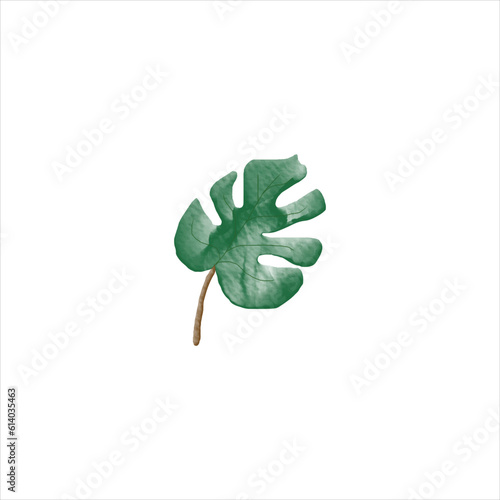 watercolor leaf vector art design 