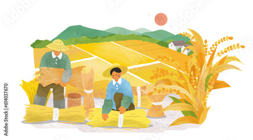 Farmers working in rice field