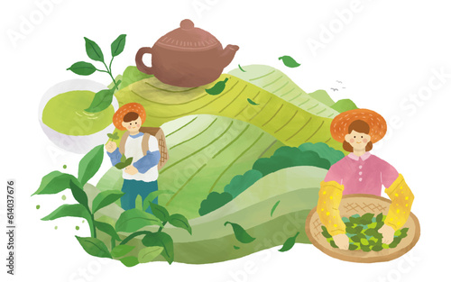Tea farmers collecting tea leaves