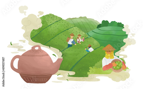 Tea farmers working in tea field