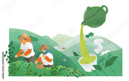 Tea farmers working in tea field